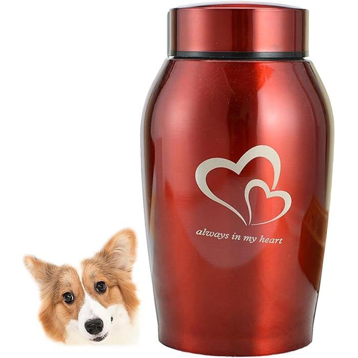 Urne souvenir Urne pour animaux de compagnie Urnes funéraires pour chiens et chats Urne commémorative en acier inoxydable Urne Rot