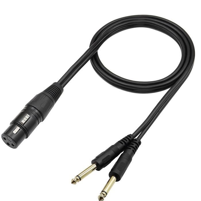 Câble Audio 6.35mm Vers XLR Femelle - 1 Mètre - Balancé - Pour Console, Micro, Enceinte