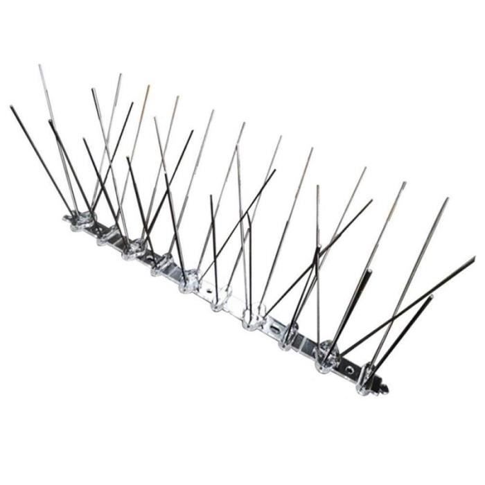 Drain De Sol En Acier Inoxydable, Déodorant, Résistant à La Rouille, Anti-odeur, Pour Salle De