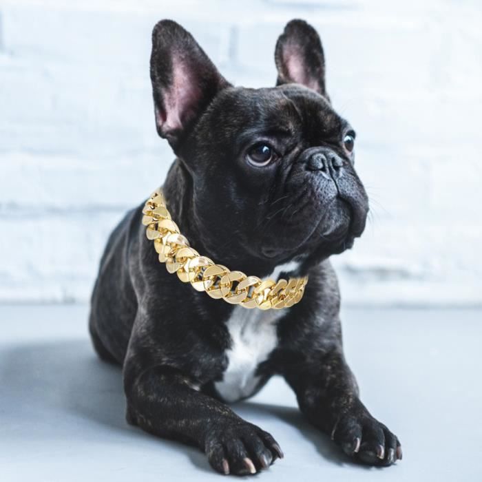 EBTOOLS Collier de chien Petit collier de chien moyen pour animaux de compagnie collier accessoires de bijoux pour bouledogue
