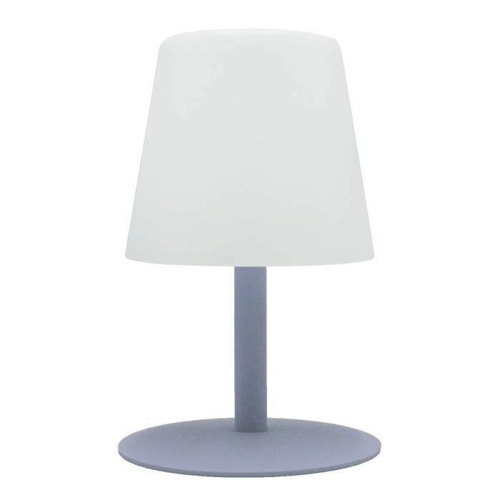Lampe Exterieur Led Standy Mini Lavender Pied Lavande Achat