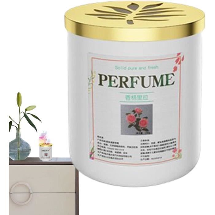 Wusideday Parfums D'Intérieur Automobile Premium | Diffuseur