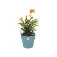 ELHO B.for Original Pot de fleurs rond Roues 35 - Bleu - Ø 35 x H 32 cm - intérieur - 100% recyclé-1