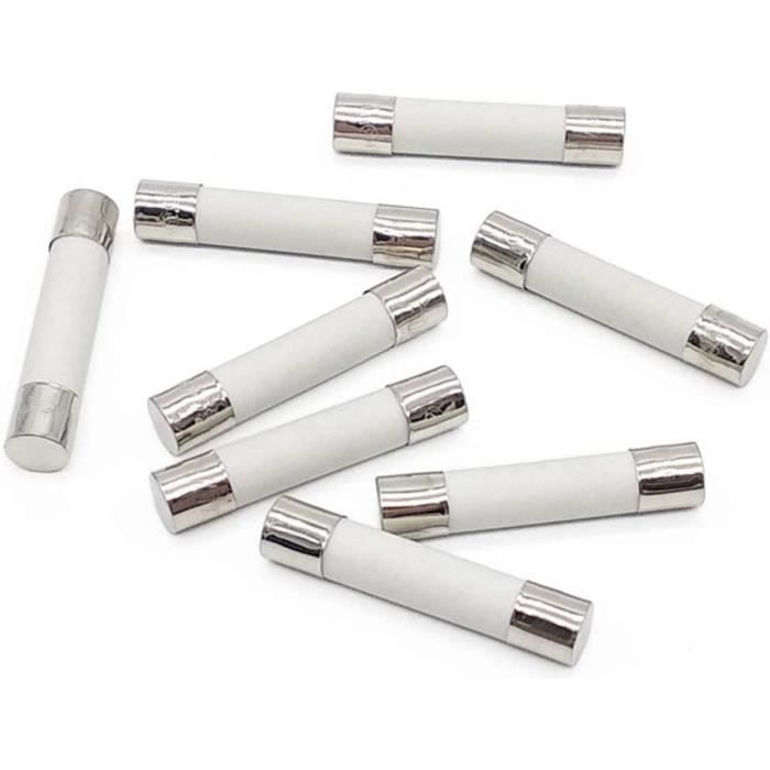 Soffiaggio Rapido 10 Pezzi Fusibile Ceramico 15A 250V - , 6x30mm, Con Conduttori Fusibile Soffiaggio Rapido