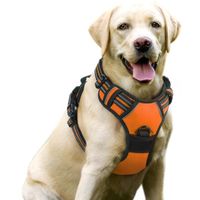 Harnais Chien / Harnais pour petit chien- Orange taille S -- Anti Traction Réglable Réfléchissant Matériau Respirant