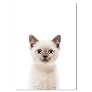 Toile Chat Tigre Achat Vente Pas Cher Toile Chat Tigre Achat Vente Pas Cher