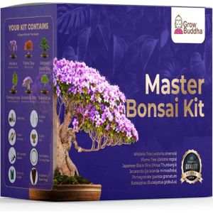GRAINE - SEMENCE Kit Master Bonsai - Kit De Culture De Plantes Bons