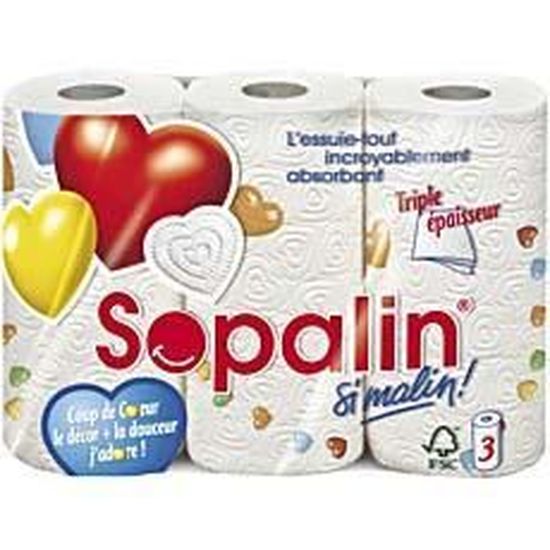 LOT DE 3 SOPALIN Essuie-tout The big one - Lot de 3 - Cdiscount Au