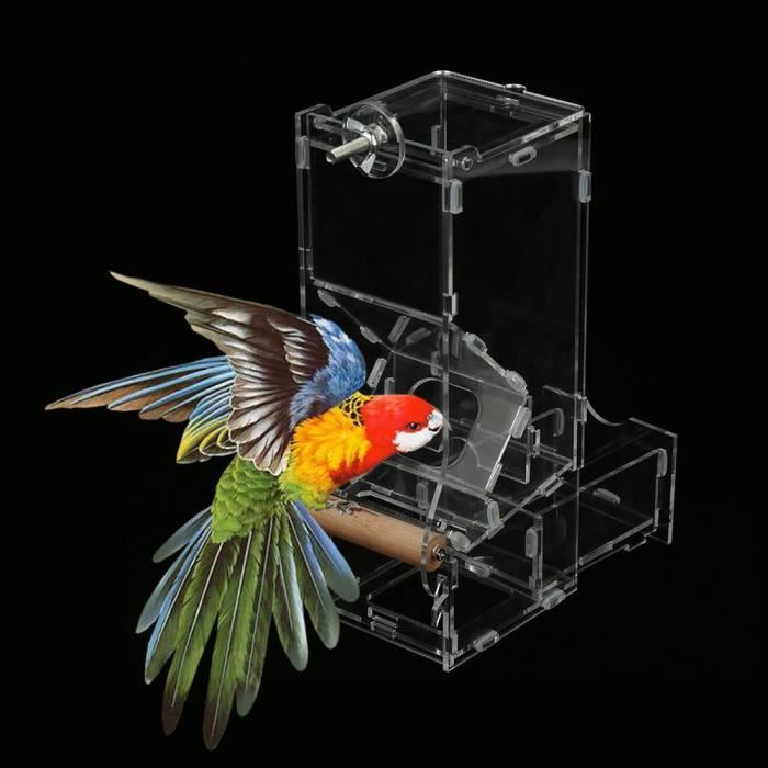 Fydun mangeoire pour graines 1 Pc acrylique animaux perroquets oiseaux graines automatique mangeoire alimentaire Cage jouet