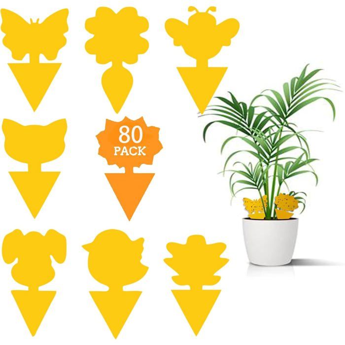 80 Pcs Attrape Moucheron Plantes Luttent Contre Les moustiques fongiques pour Les Insectes intérieurs et extérieurs Imperméables