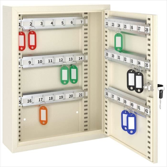 ACROPAQ Boite à clés pour 42 clés avec crochets réglables- Armoire à clés- 2 clés- Hauteur Réglable