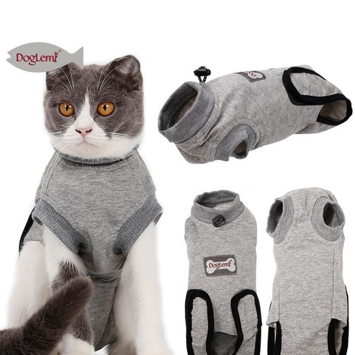 Combinaison De Recuperation Pour Chat Animalier Apres La Chirurgie Porter Des Plaies Abdominales Maladie De La Peau Colle E Combin Achat T Shirt Body Top Pas Cher Avis Et Meilleur Combinaison De Recuperation Pour Chat Animalier Apres La Chirurgie Porter Des Plaies Abdominales Maladie De La Peau Colle E Combin Achat T Shirt Body Top Pas Cher Avis Et Meilleur