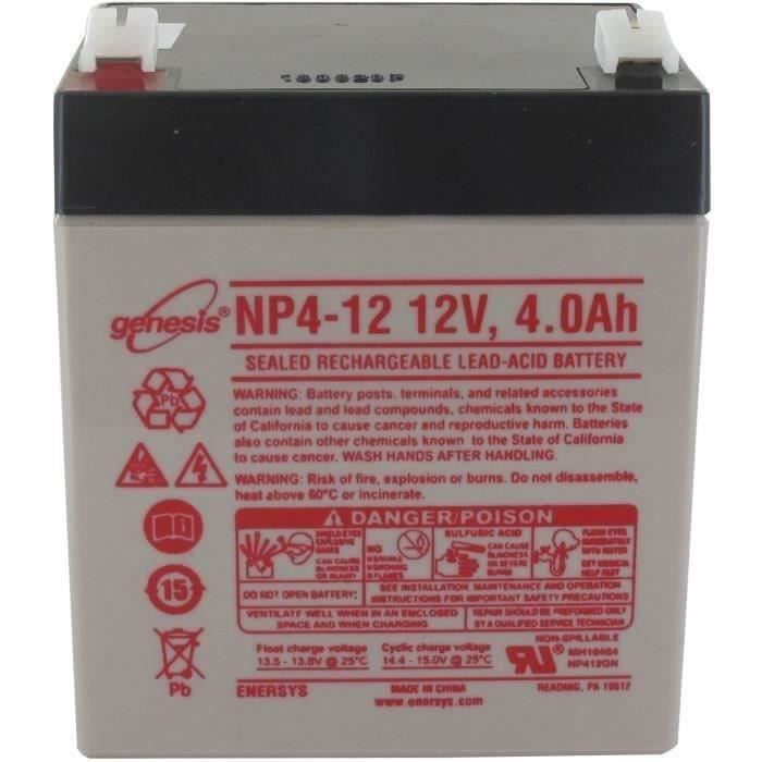 Batterie pour Mini Rider MTD 725-04903 pour Tondeuse