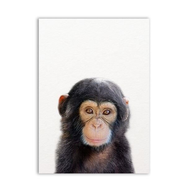 Affiche Nordique Belle Animaux Singe Image Toile Dessin Anime Peinture Abstraite Photo Pop Mur Art Citation Hd Decor Imp Achat Vente Tableau Toile Cdiscount Affiche Nordique Belle Animaux Singe Image Toile Dessin Anime Peinture Abstraite Photo Pop Mur Art Citation Hd Decor Imp Achat Vente Tableau Toile Cdiscount