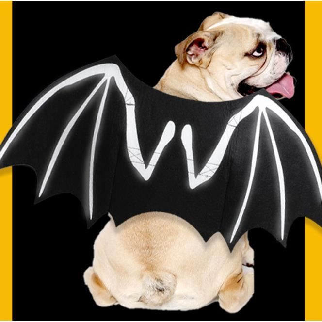 Costume Chauve-souris Pour Chat Ou Chien - Taille S, En Feutre Léger, Ajustable, Parfait Pour Halloween - 14