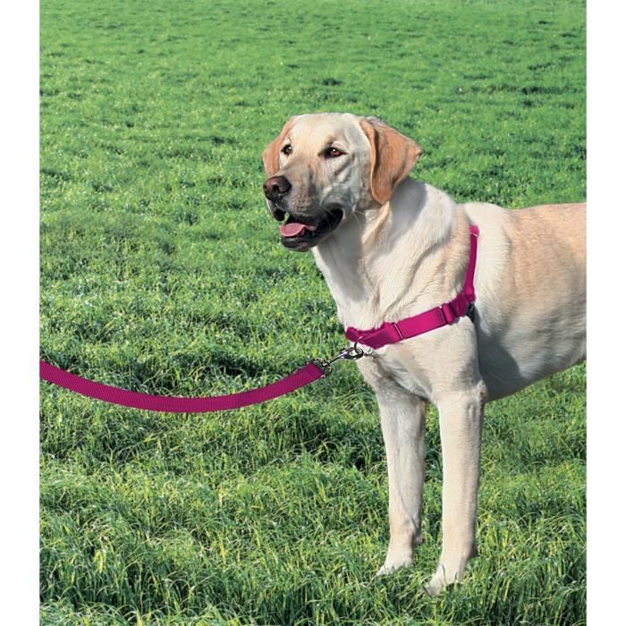 EASY WALK Harnais L - Framboise - Pour chien EASY WALK Harnais L - Framboise - Pour chien