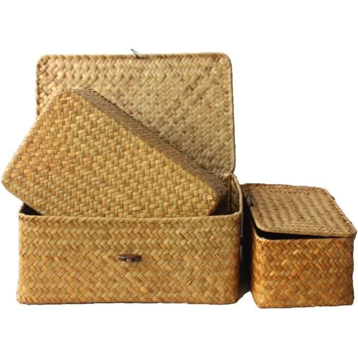 Panier de rangement en rotin pour fruits - Servant à la cuisine, comptoir et salon - Main tissée - Rectangulaire - 25x17x8cm