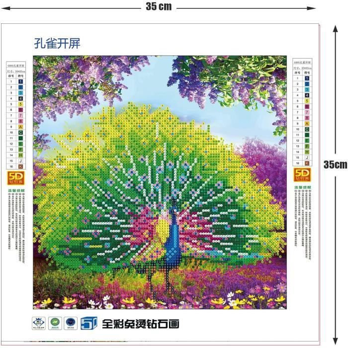 Kits De Peinture Par Numéros Arc-en-Ciel Chat Abstrait – Toile 40x50 Cm – Décoration Murale DIY Pour Adultes Et Enfants