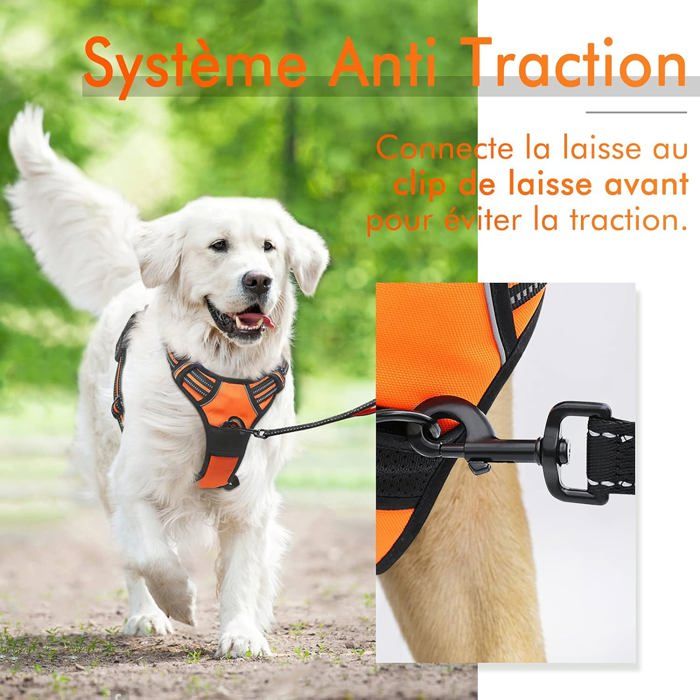 Harnais Chien / Harnais pour petit chien- Orange taille S -- Anti Traction  Réglable Réfléchissant Matériau Respirant - Cdiscount