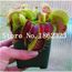 Version 7 Grande Promotion 0 Pieces En Pot Insectivore Bonsai Plante Bleu Dionaea Muscipula Plantes Carnivores Pince Geante Achat Vente Graine Semence Version 7 Grande Promotion Cdiscount