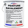 Peinture Ravalement - Pot 5 L   - Codeve Bois - 1014 - Ivoire-0