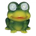 Grenouille solaire 2 LED-0