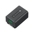 Sony NP-FV50A Batterie de caméscope 1 x Li-Ion 6.9 Wh pour Handycam HDR-CX370V-0