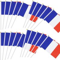 Lot de 20 Petit Drapeau France avec Baton Mini Drapeau Français Tricolore Tenus à Manivelle Fanions Bleu Blanc Rouge Pour Fête Bar C