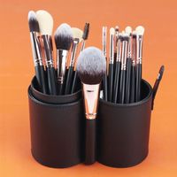 Beauty Kit Artiste 16pcs : Kit De Pinceaux De Maquillage Professionnel Et Leur Étuis De Rangement.