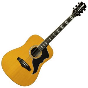 Dilwe Guitare Folk de Haute qualité Portable Dreadnought Guitare avec Accessoires Tuner Housse pour Enfants Adultes 