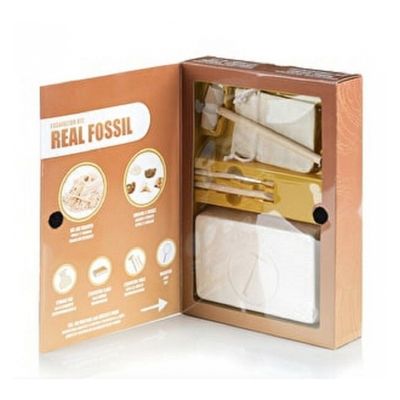 Kit D'excavation De Cristaux, Pierres Précieuses Et Fossiles – Archéologie Pour Enfants 6-10 Ans, Creuser, Géologie, Coffret éducatif Complet Avec 20 Gemmes, Lunettes, Loupe