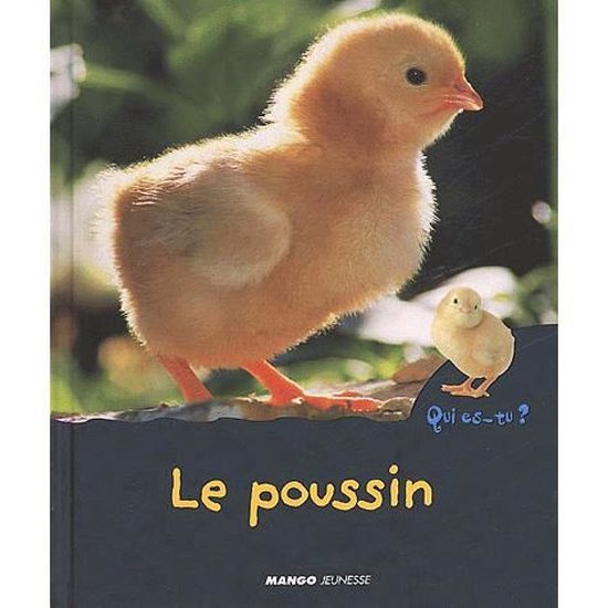 Coucou Les Animaux - Le Poussin