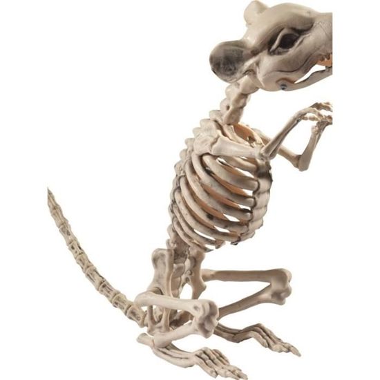 Décoration d'intérieur - SMIFFYS - Rat Squelette Prop - Noir - Adulte