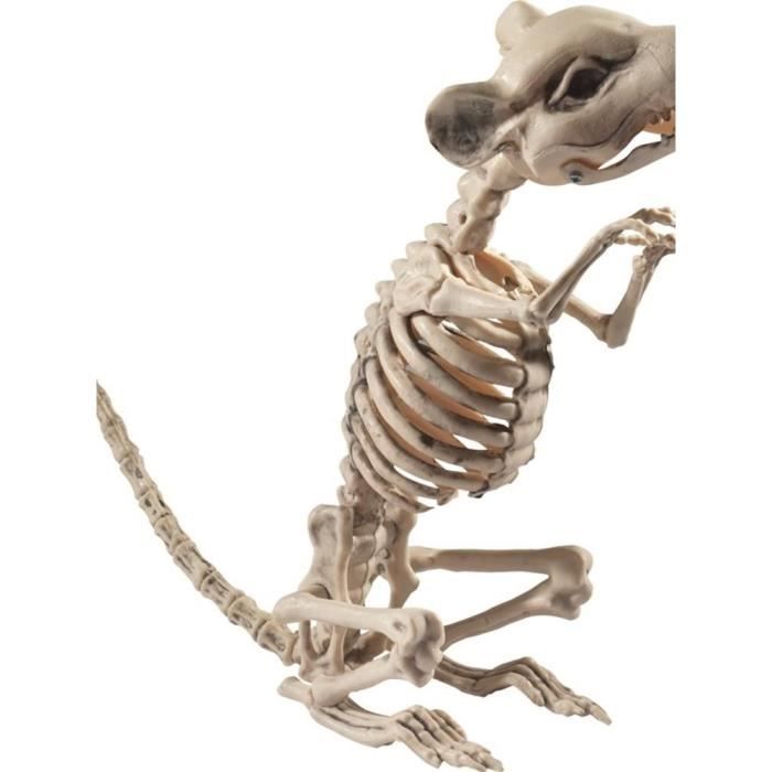 Rat Squelette Prop, naturel, 9x28x33cm - 4x11x13in - 46908