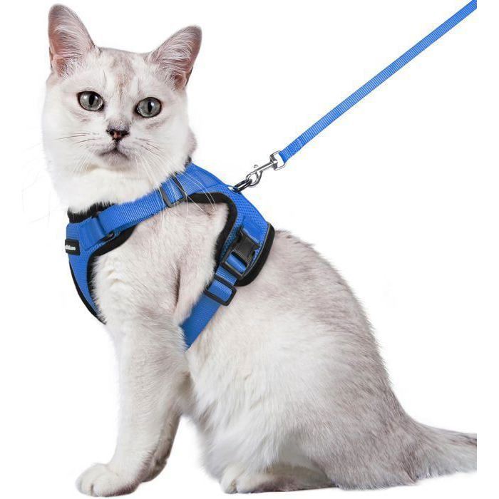 Meilleurs prix pour Harnais Chat Anti-évasion avec Laisse Bleu M Harnais Chaton Petit Chien Réglable Collier Harnais et Laisses pour Chat Refléchissant