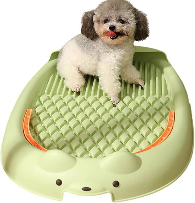 Pot d'intérieur Portable pour Chiens, Fournitures pour Animaux de Compagnie Anti-éclaboussures Facile à Nettoyer (Vert)