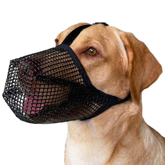 Meilleurs prix pour Muselière pour chien XL, muselière recouverte de maille souple pour chiens de taille moyenne et grande, muselière de protection