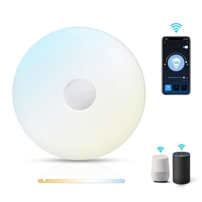 Demi-sang 300mm Plafonnier LED WiFi 24 W RVB blanc intensité variable Compatible avec Alexa et Google Assistant 