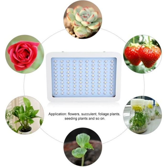 Lampe De Croissance Plantes LED 1000W ACUONE - Hydroponique - Eclairage