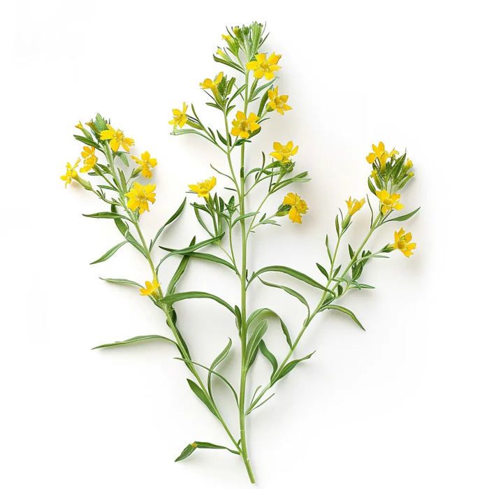 100 Contenitori Crepas Take Away In Cartone Alimentare - Astucci Pieghevoli 13x18.5cm - Foto 5