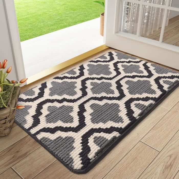 Tapis d'entrée intérieur couleur 50 x 80 cm, paillasson intérieur, tapis d' entrée, tapis d'entrée intérieur, tapis de porte antidérapant, absorbant,  lavable, pour intérieur, entrée