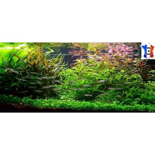 Pinces à planter 50 cm pour vos plantes aquatiques - Plante Aquarium