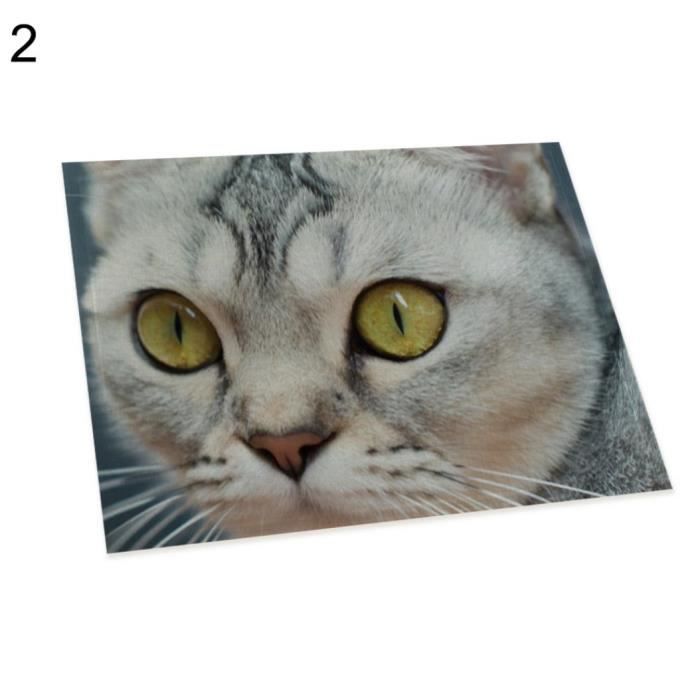 Tapis D Isolation Chaude Motif Chat Table A Manger Set De Table Cuisine Decor 2 Achat Vente Set De Table Cdiscount