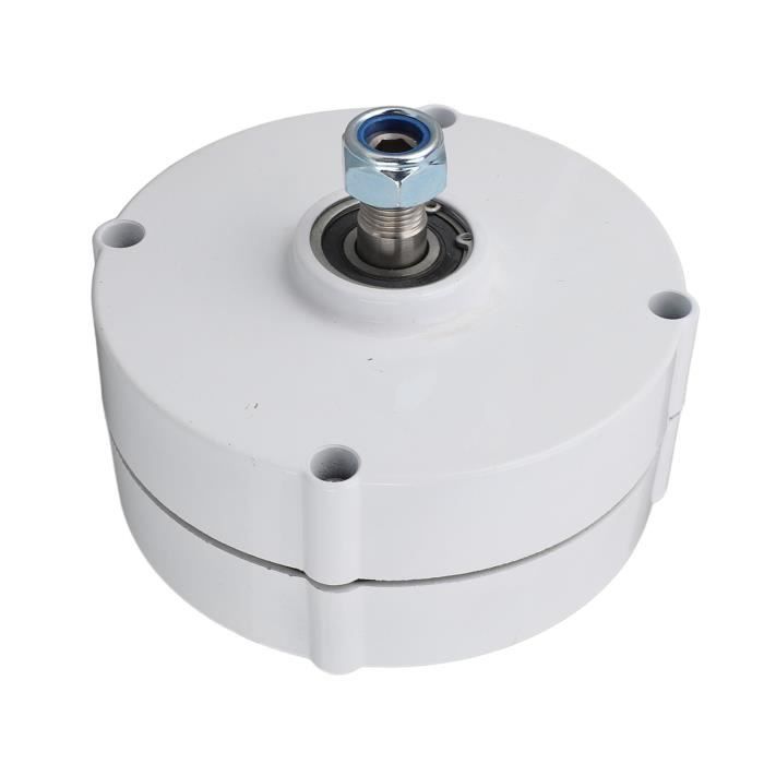Moteur Vibrant DC 12V à Double Arbre - Haute Puissance, Pour Projets électroniques, Jouets, Mini-ventilateurs