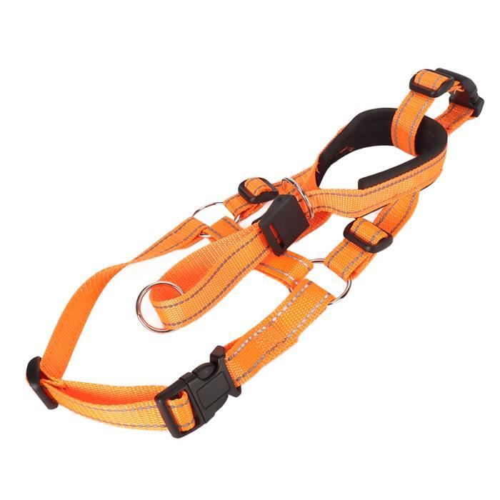 Porte-Bagages Pour Porte-Bagages De Toit Rc Porte-Bagages De Toit Rc Porte-Bagages Pour Porte-Bagages De Toit Rc Porte-Bagages De Toit Rc