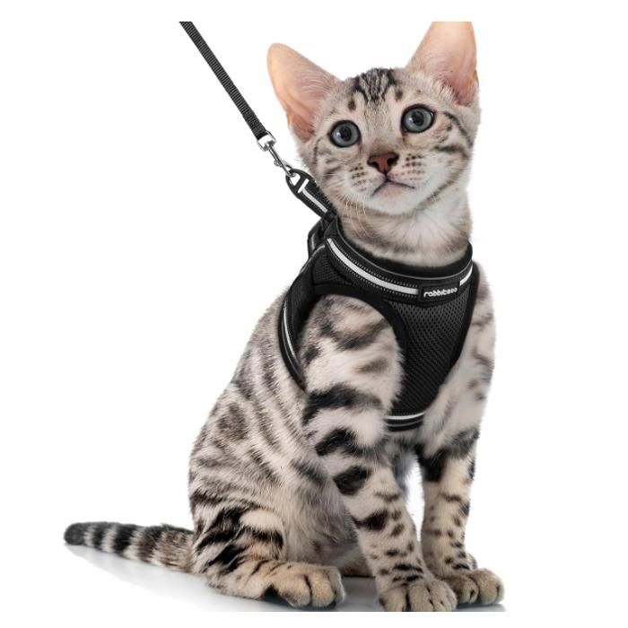 Meilleurs prix pour Rabbitgoo Harnais Chat Harnais pour chaton/petit chien Harnais Respirant et Bande Réfléchissante réglables -Taille M -Noir