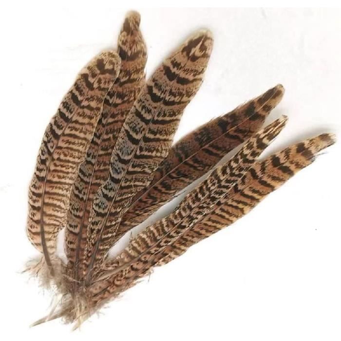 Plumes De Faisan Naturelles - Lot De 20 | 25-30cm | Vert Vif | Pour DIY, Déco Chapeaux, Costumes, Chevaux | Loisirs Créatifs