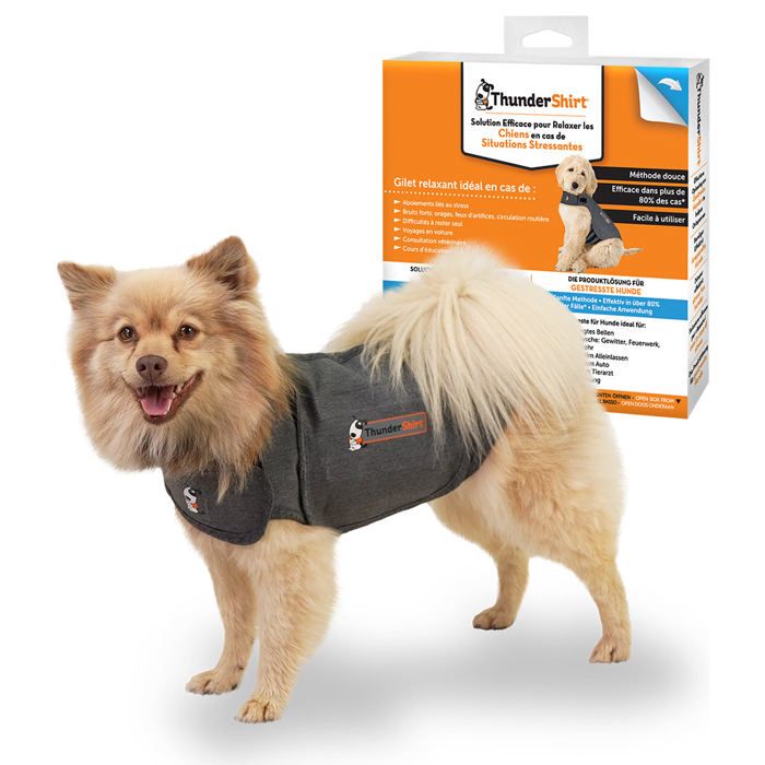 Gilet anti sales stress pour chien