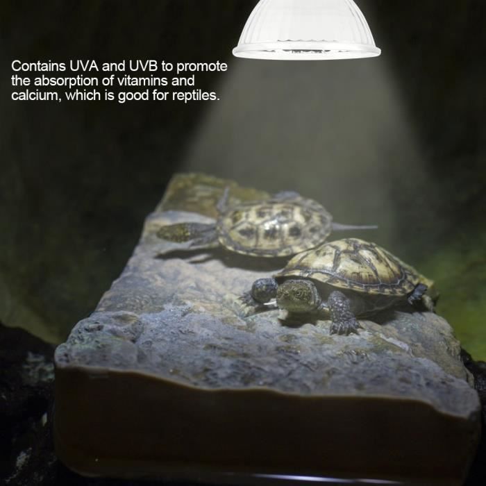 lampe tortue terrestre chauffante reptiles pour aquarium éclairages 25w uva uvb avec base longue 360° rotation (avec ampoule) hb012