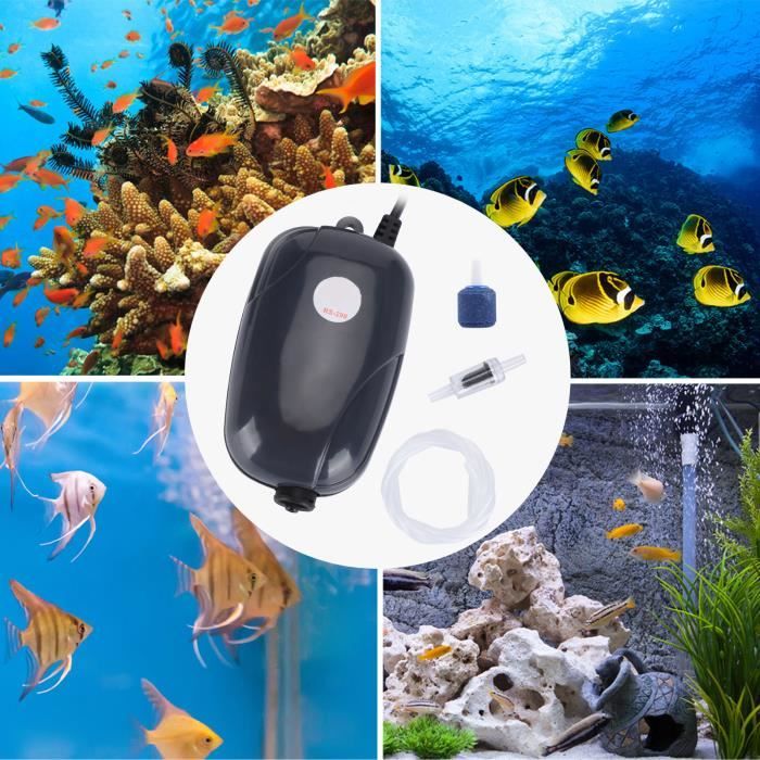 HURRISE aérateur d'aquarium Pompe à air réglable pour aquarium RS